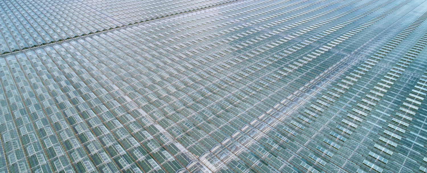 Fotovoltaico trasparente. Il futuro prossimo dell'energia.
