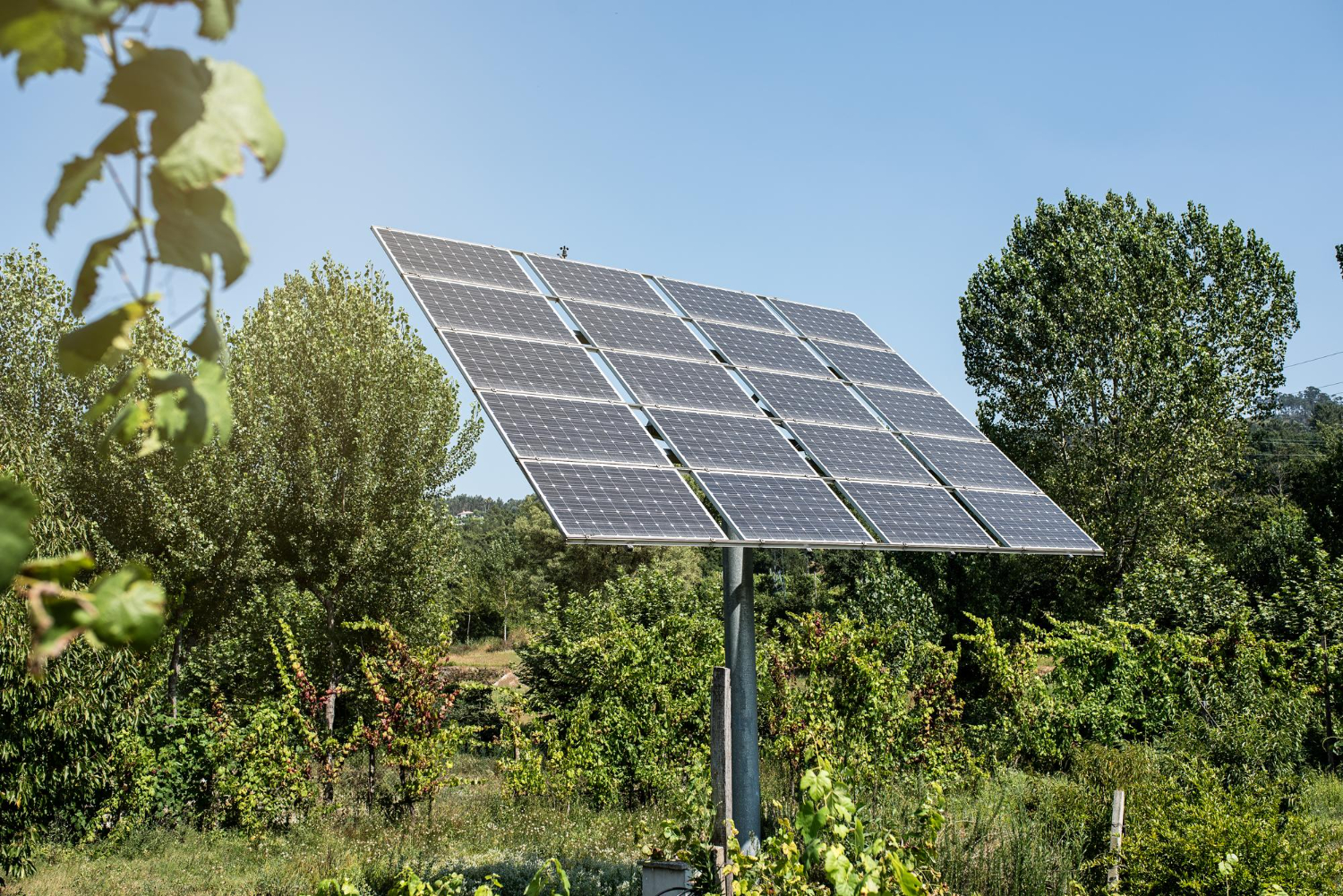 Costo impianto fotovoltaico: 6 kW o 3 kW? Confronto tra migliori installatori